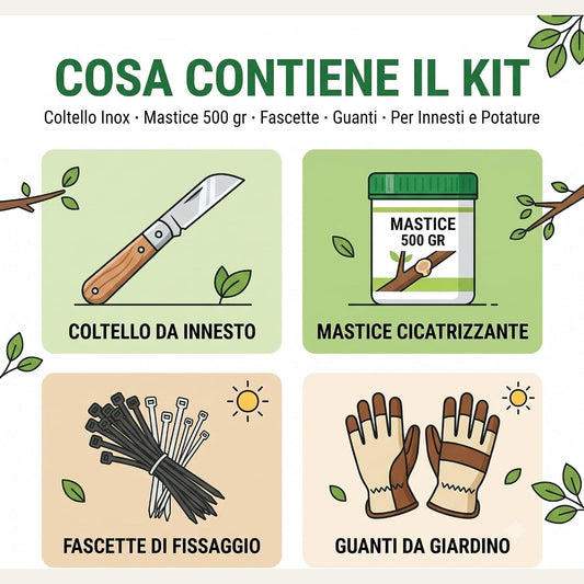 Infografica del kit innesto piante con coltello da innesto, mastice cicatrizzante da 500g, fascette di fissaggio e guanti.