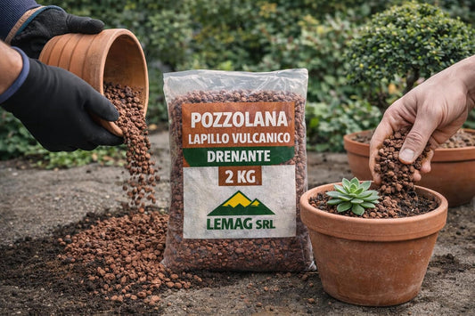 Pozzolana lapillo vulcanico drenante 2 kg per vasi, giardino e terrari – dettaglio