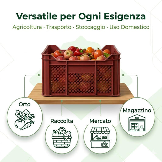 Set 2 Cassette Agricole Forate 52x36x31 cm – Cassette Impilabili in Plastica per Frutta e Verdura – Certificate per Alimenti – Raccolta Ortofrutta e Trasporto - Lemag srl