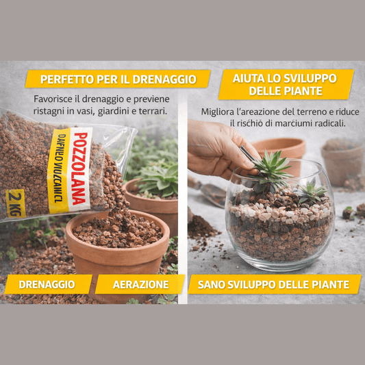 Utilizzo di pozzolana vulcanica drenante per il drenaggio nei vasi e la cura di piantine in terrari di vetro.