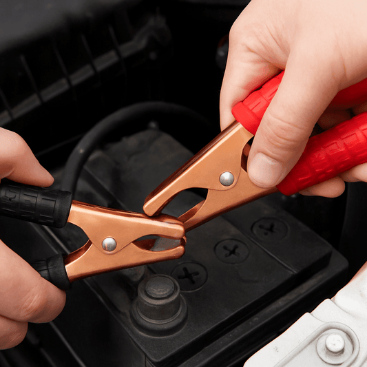 Coppia pinze batteria 7 cm 40A, coccodrillo per auto, moto, camper e hobbistica - Lemag srl