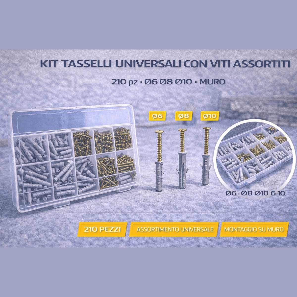 Kit tasselli con viti assortiti da 210 pezzi in cassetta, ideale per montaggio su muro con misure Ø6, Ø8 e Ø10.