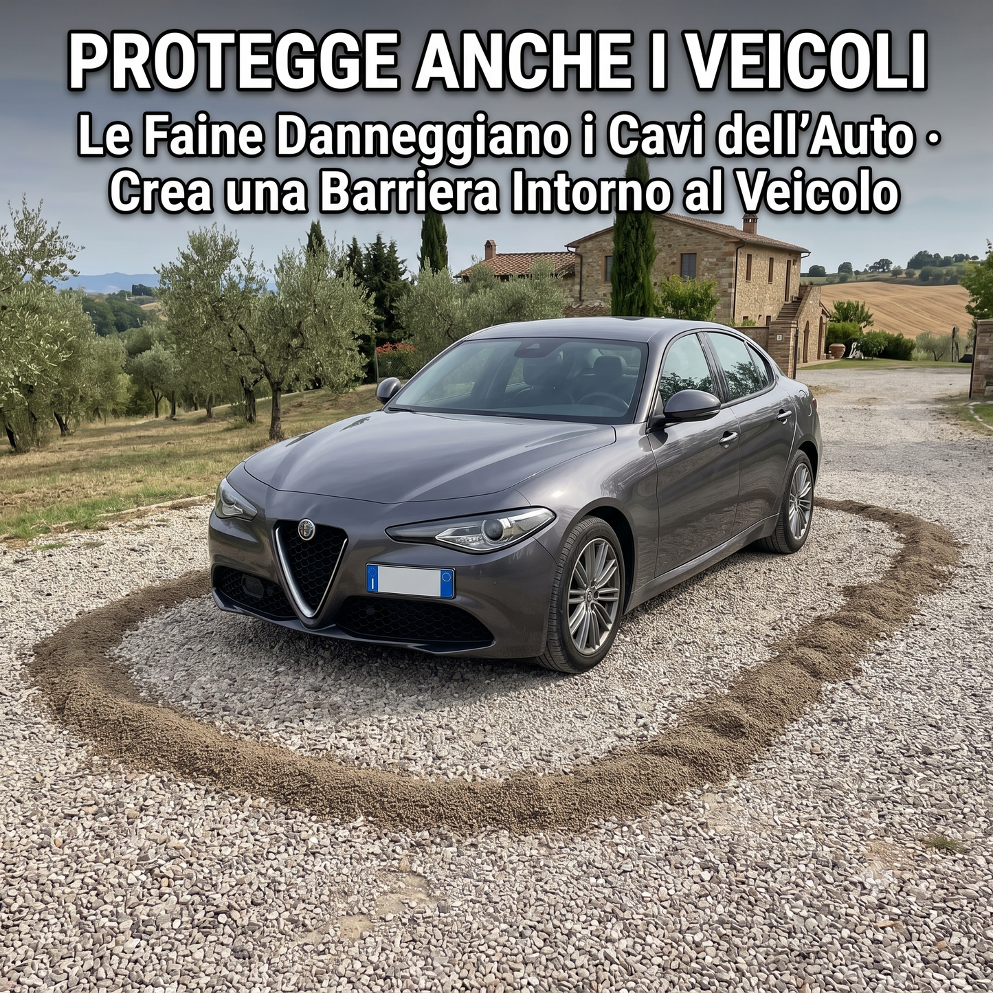 Disabituante Volpi Faine e Donnole Granulare 1 L Energica – Repellente Granuli Barriera Aromatica per Allontanare Volpi Lupi Faine e Donnole da Pollai Orti e Giardini – per Uso Esterno