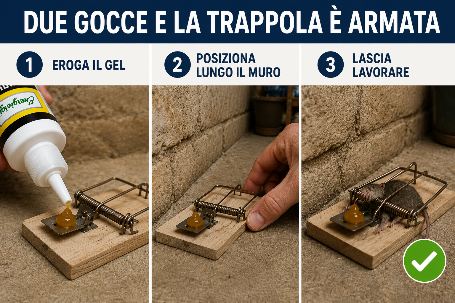 Due gocce di attrattivo gel trappole topi ratti posizionate su una trappola a scatto per attirare roditori.