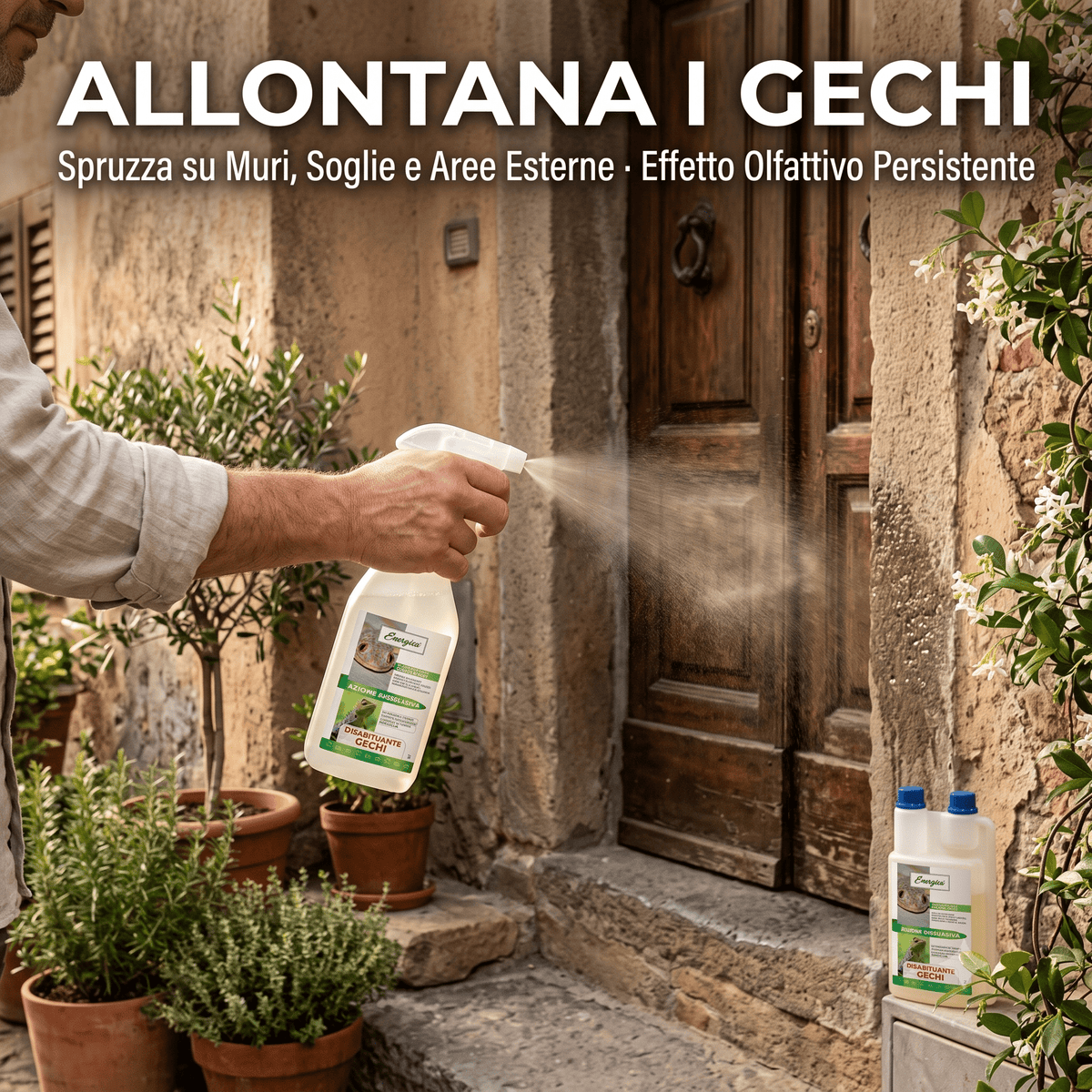 Applicazione di disabituante per gechi spray su pareti esterne e soglie per allontanare i gechi con effetto persistente.