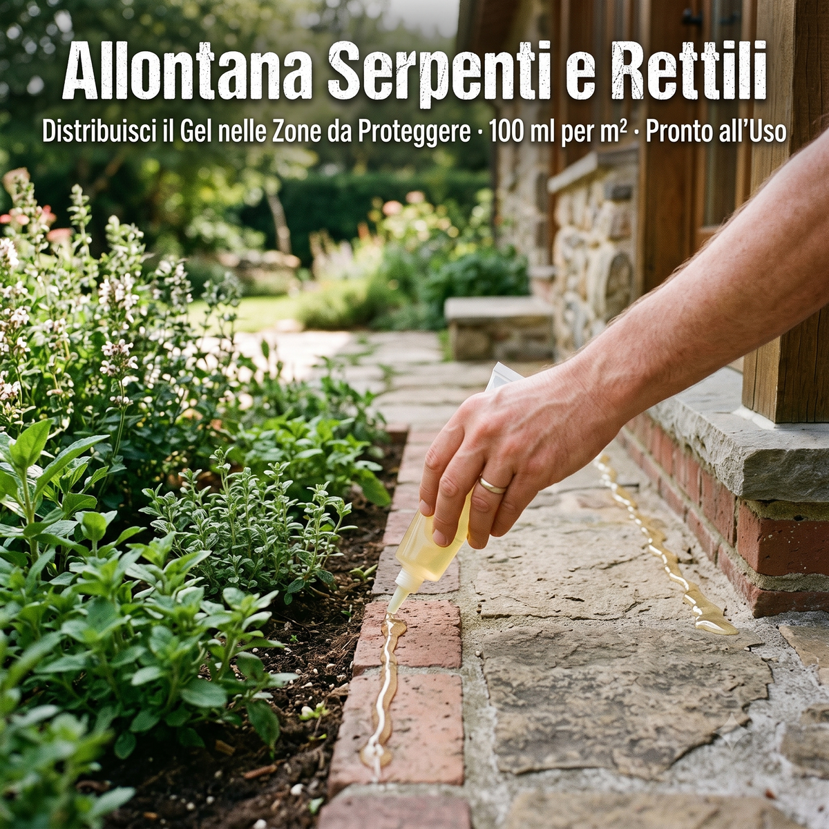 Applicazione del gel disabituante Energica, repellente per serpenti, sul bordo del giardino per allontanare i rettili.