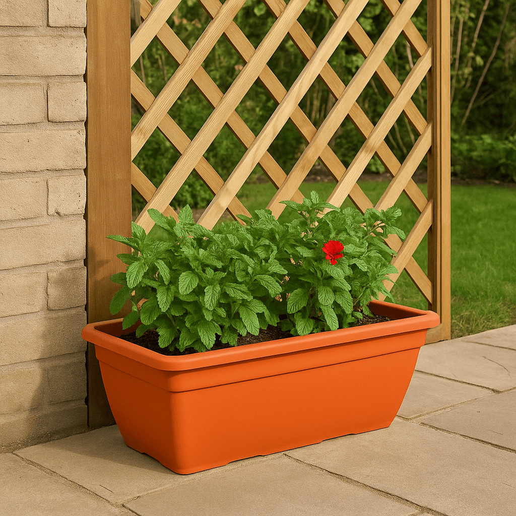 Fioriera Rettangolare 'Anthea' in Plastica 60x32x28h cm per Esterni Giardino Balcone - Lemag srl - Lemag srl