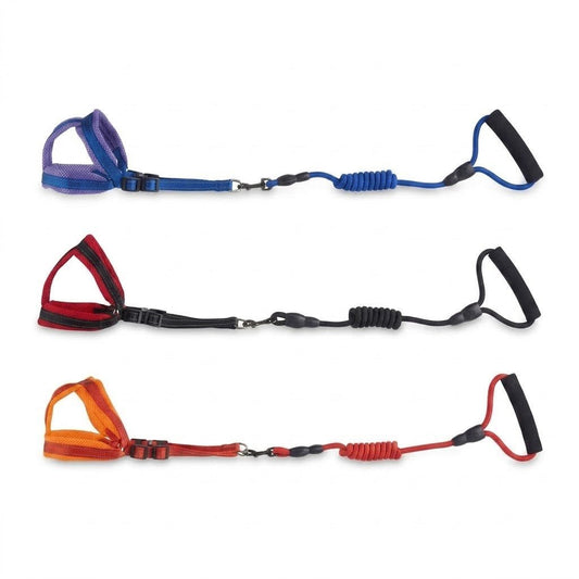 Set di pettorina imbottita per cani piccoli con guinzaglio abbinato, disponibile nei colori blu, nero e arancione.