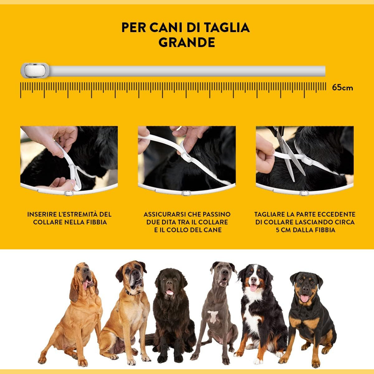 Guida illustrata all'applicazione del collare Scalibor cani grandi da 65 cm con istruzioni passo dopo passo.