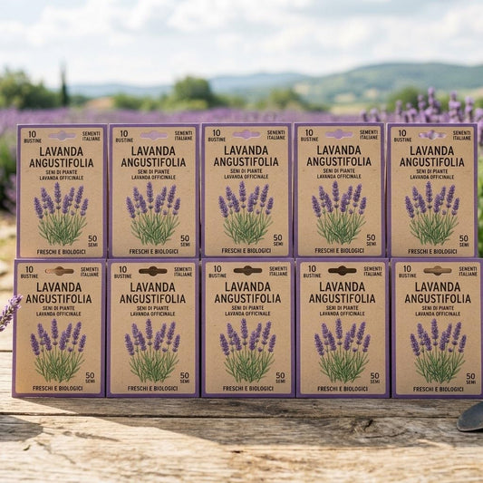 Semi di Lavanda 10 Bustine - Pianta Aromatica e Mellifera per Bordure e Vasi - Fioritura dal Secondo Anno - Lemag srl