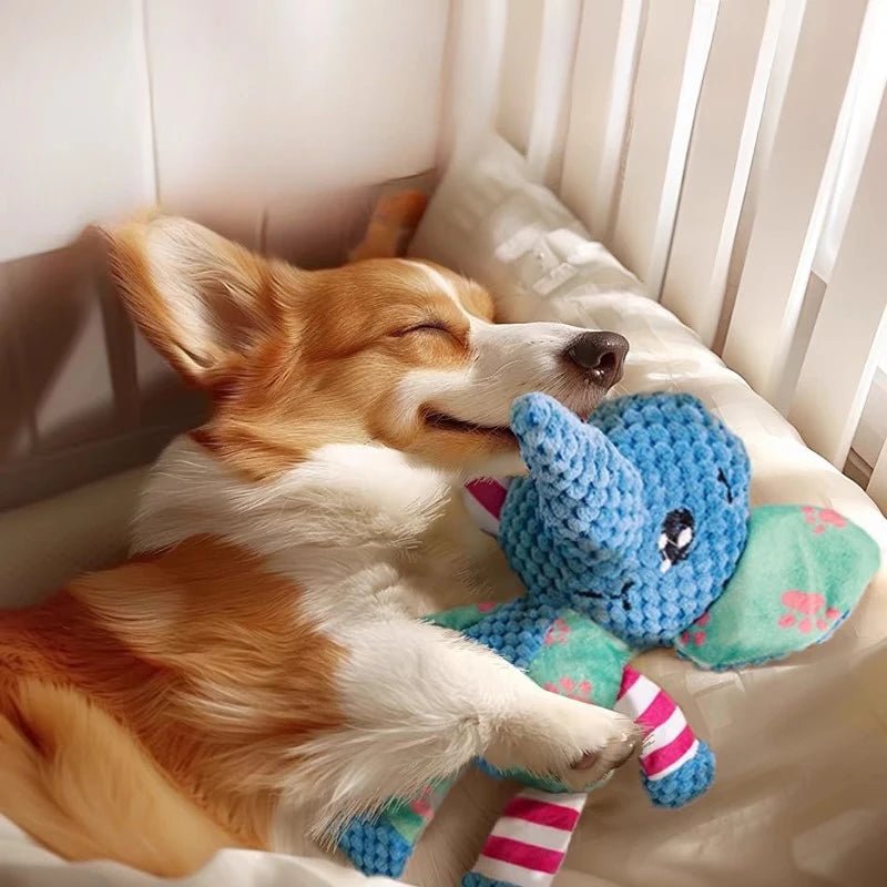 Gioco di Peluche per Cani con Squeak e Pulizia Denti - Lemag srl