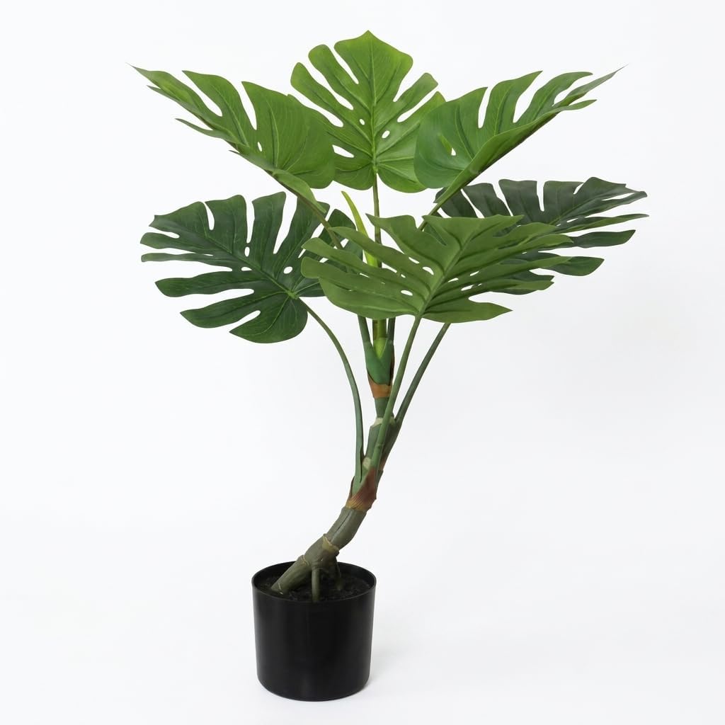 Pianta Artificiale da Interno con Vaso Incluso - Altezze da 60 a 150 cm - Ficus, Monstera, Palma, Bambu, Dracena, Orchidea e Altri Modelli - Aspetto Naturale - Lemag srl