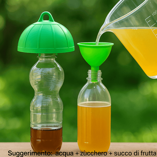 Trappola Ecologica Universale – 6 Pezzi – Lemag srl - Lemag srl