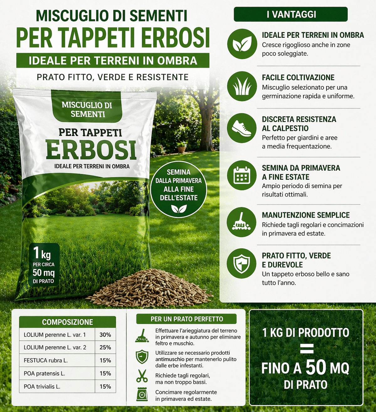 Sementi per Tappeto Erboso 1 Kg per Terreni in Ombra 50 mq - Lemag srl