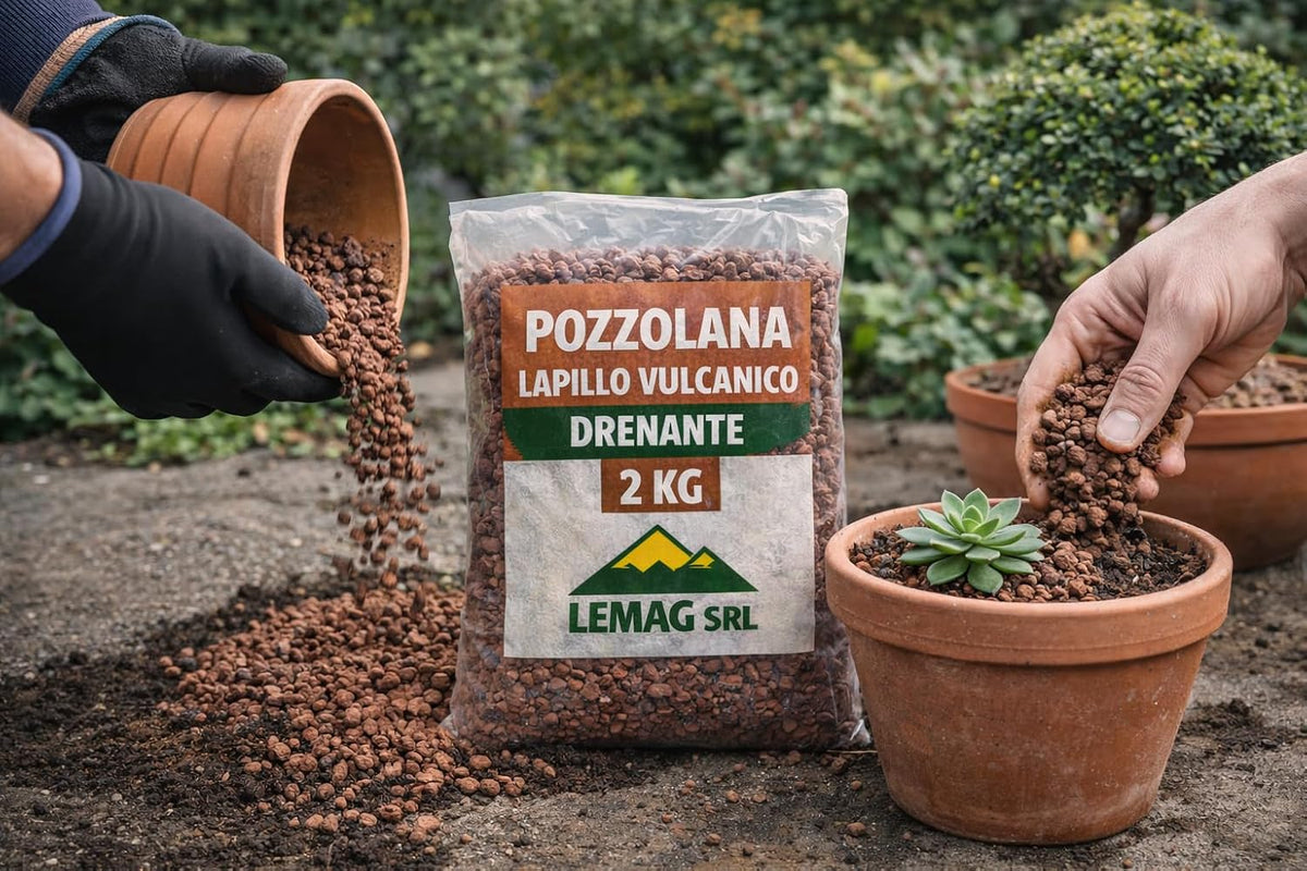 Pozzolana lapillo vulcanico drenante 2 kg per vasi, giardino e terrari – dettaglio