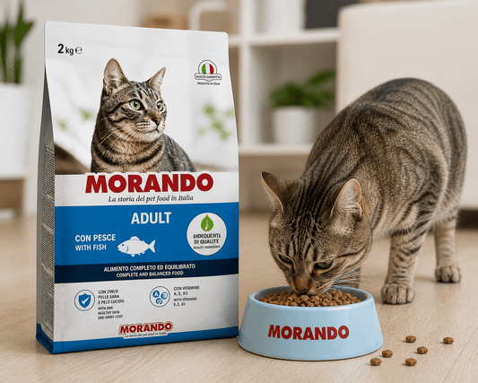 Croccantini per Gatti Morando 2kg Gusto Pesce per Gatti Adulti Alimento Completo con Vitamine Minerali Zinco - Lemag srl