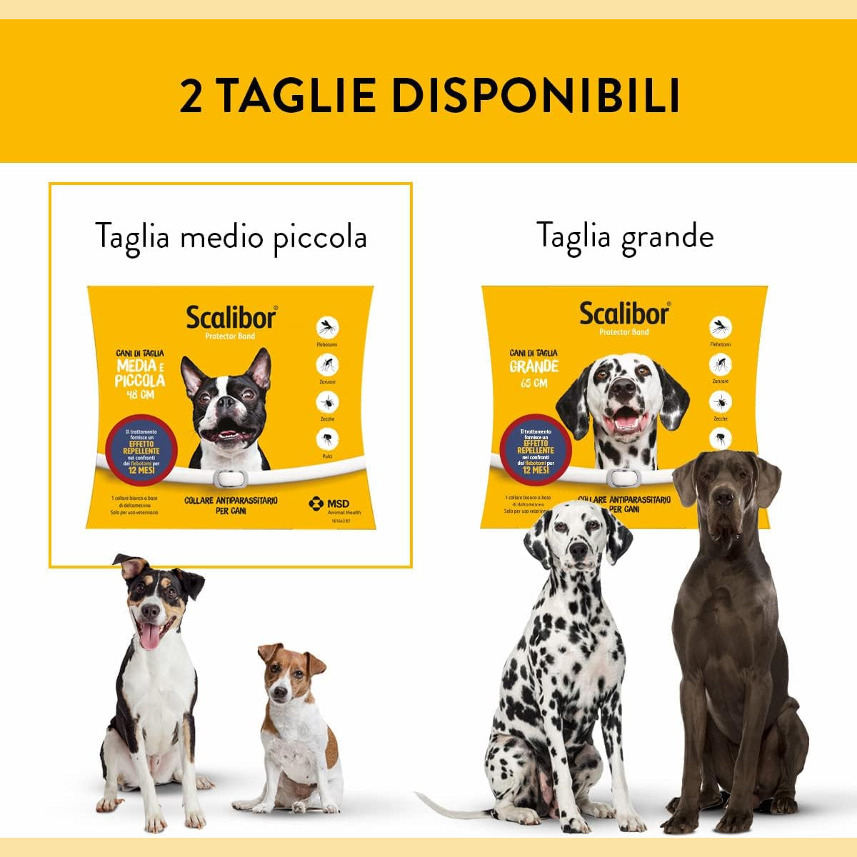 Confronto delle due taglie disponibili di collare scalibor cani piccoli da 48 cm e taglia grande da 65 cm per la protezione dai parassiti.