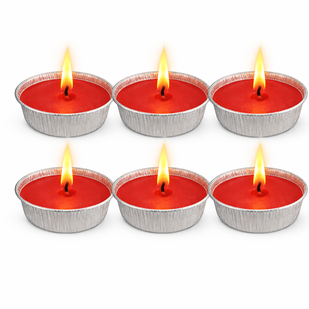 Citronella Rossa in Vaschetta di Alluminio Antizanzare per Esterno - Lemag srl