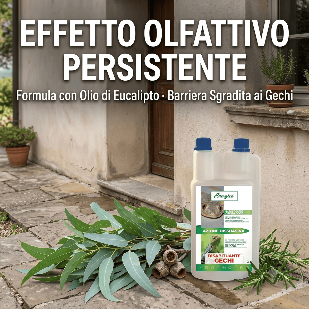Flacone di disabituante per gechi con rami di eucalipto davanti all'ingresso di casa per creare una barriera olfattiva persistente.
