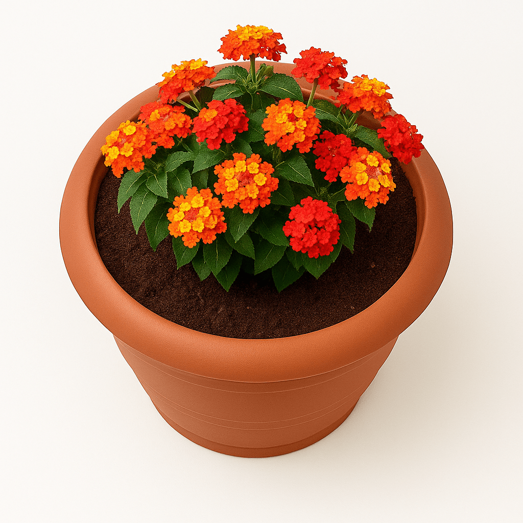 Vaso per Fiori 20x15 cm Bianco – Plastica Resistente, Leggero e Decorativo – LEMAG SRL - Lemag srl