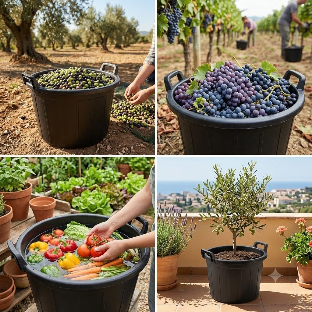 Mastelli per vivaio neri in polietilene usati per la raccolta di olive e uva, lavaggio verdure e come vaso per piante sul balcone.
