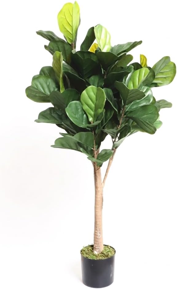 Pianta Artificiale da Interno con Vaso Incluso - Altezze da 60 a 150 cm - Ficus, Monstera, Palma, Bambu, Dracena, Orchidea e Altri Modelli - Aspetto Naturale - Lemag srl