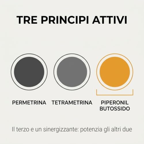 Insetticida Spray Insetti Striscianti 400 ml – Scarafaggi, Formiche, Pulci, Cimici – Per Crepe e Fessure, Non Macchia - Lemag srl
