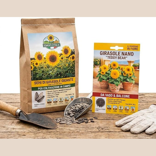Confezioni di semi di girasole da seminare gigante e nano con paletta e guanti da giardinaggio su un tavolo in legno.