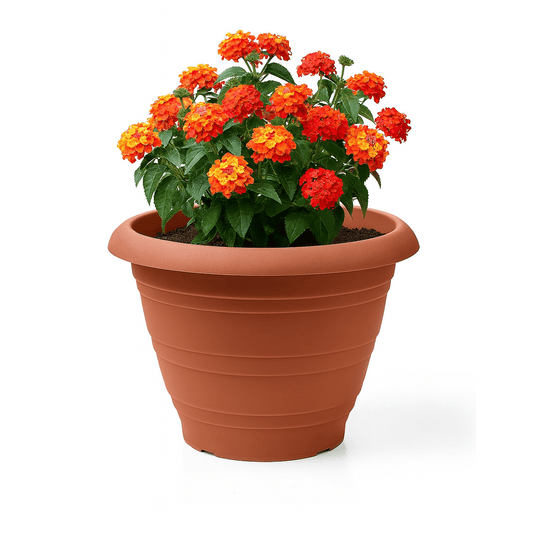 Vaso per Fiori 20x15 cm Bianco – Plastica Resistente, Leggero e Decorativo – LEMAG SRL - Lemag srl