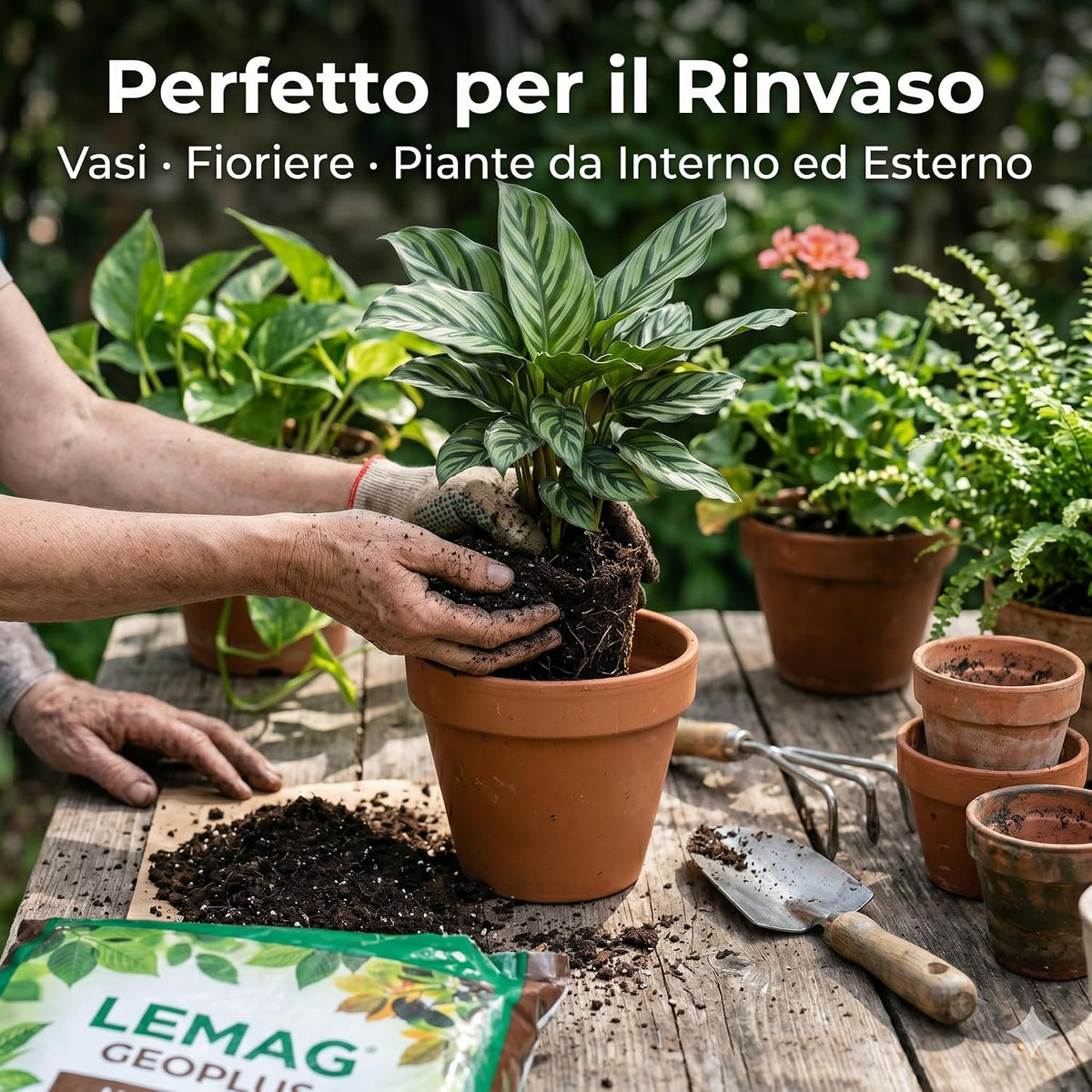 Terriccio universale Geoplus 50 litri per orto, giardino e vasi – ideale per rinvaso e fioriere