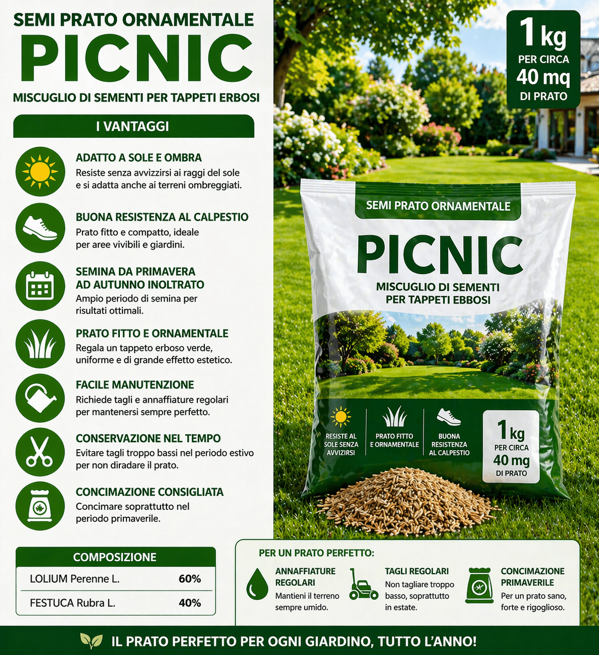 Semi Prato Ornamentale Picnic 1 Kg per 40 mq Sole/Ombra Resistenti - Lemag srl