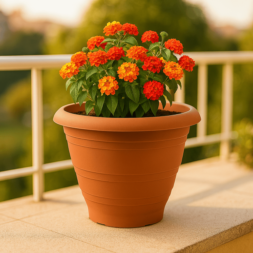 Vaso per Fiori 20x15 cm Bianco – Plastica Resistente, Leggero e Decorativo – LEMAG SRL - Lemag srl