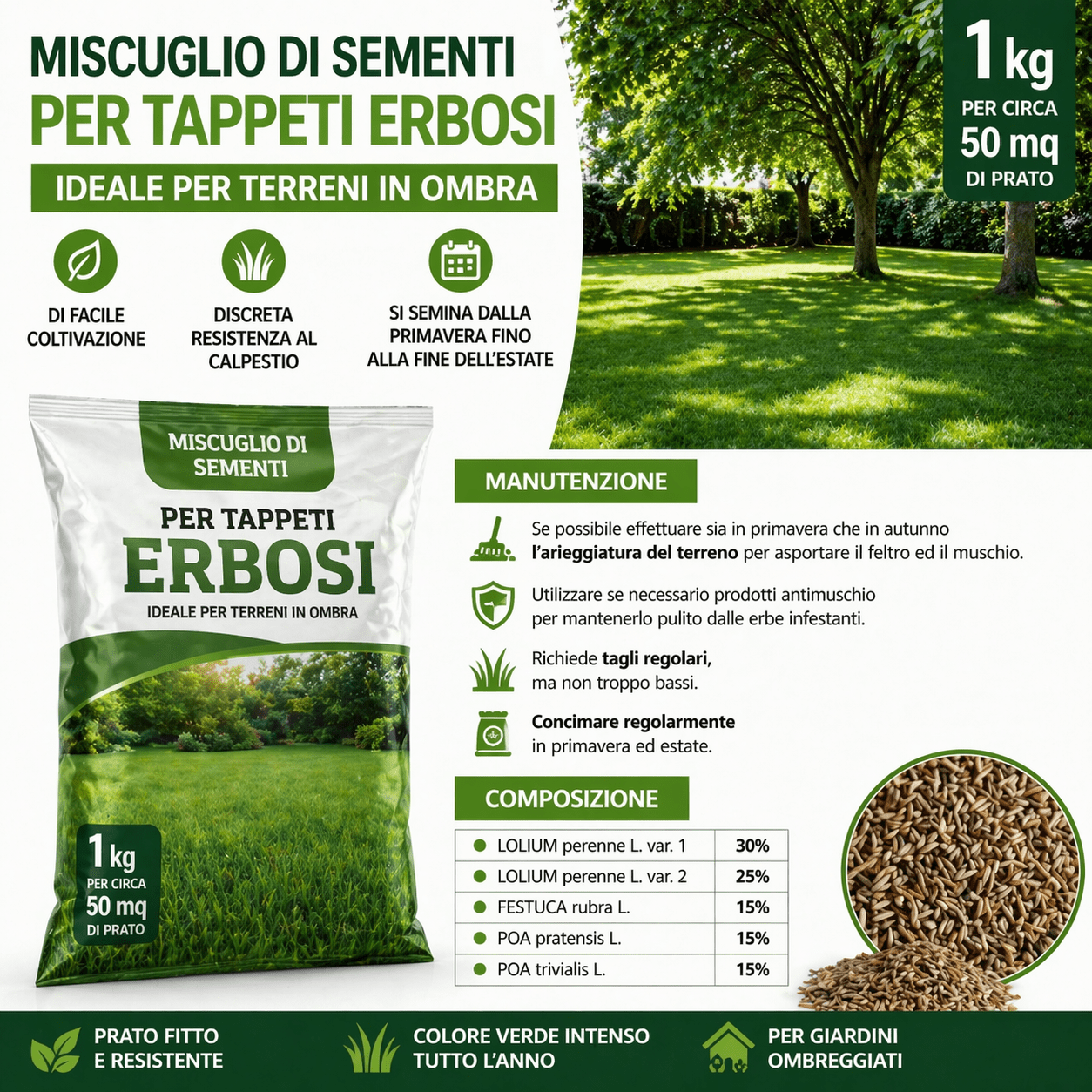 Sementi per Tappeto Erboso 1 Kg per Terreni in Ombra 50 mq - Lemag srl