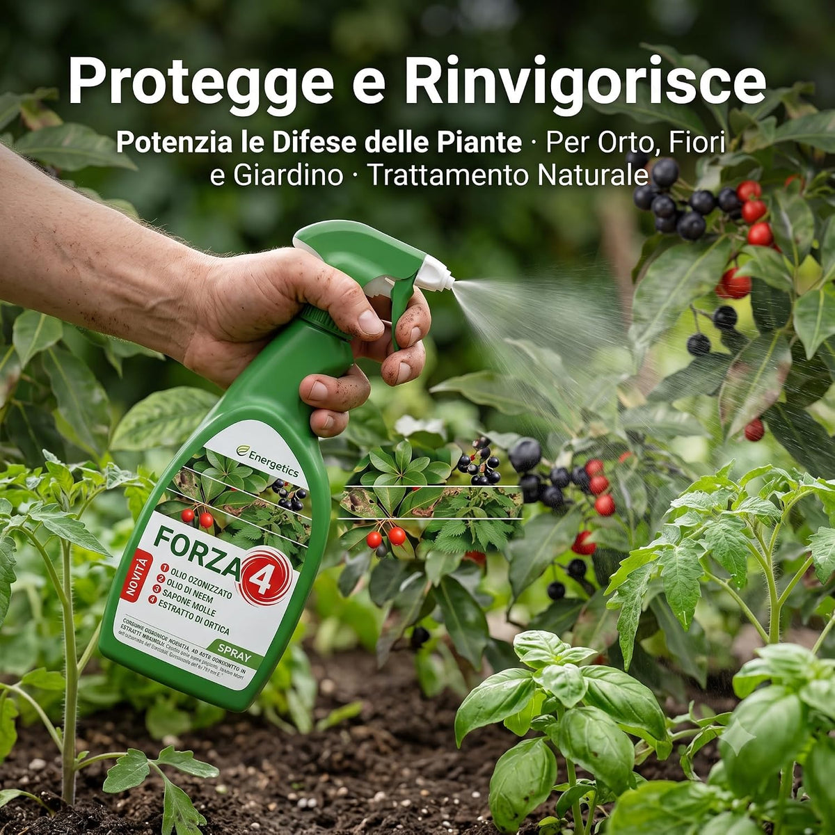 Forza 4 spray, corroborante naturale per piante con olio di neem, utilizzato per proteggere e rinvigorire le foglie dell'orto.