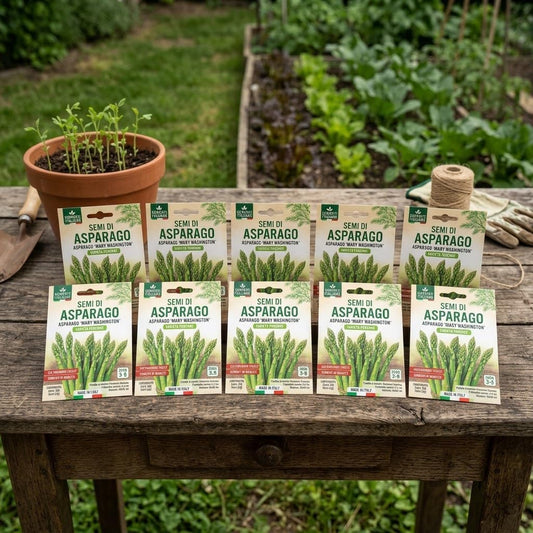 Semi di Asparago 10 Bustine - Coltivazione da Seme per Asparagiaia - Primo Raccolto dal Terzo Anno, poi per 15-20 Anni - Semina in Semenzaio da Febbraio - Lemag srl