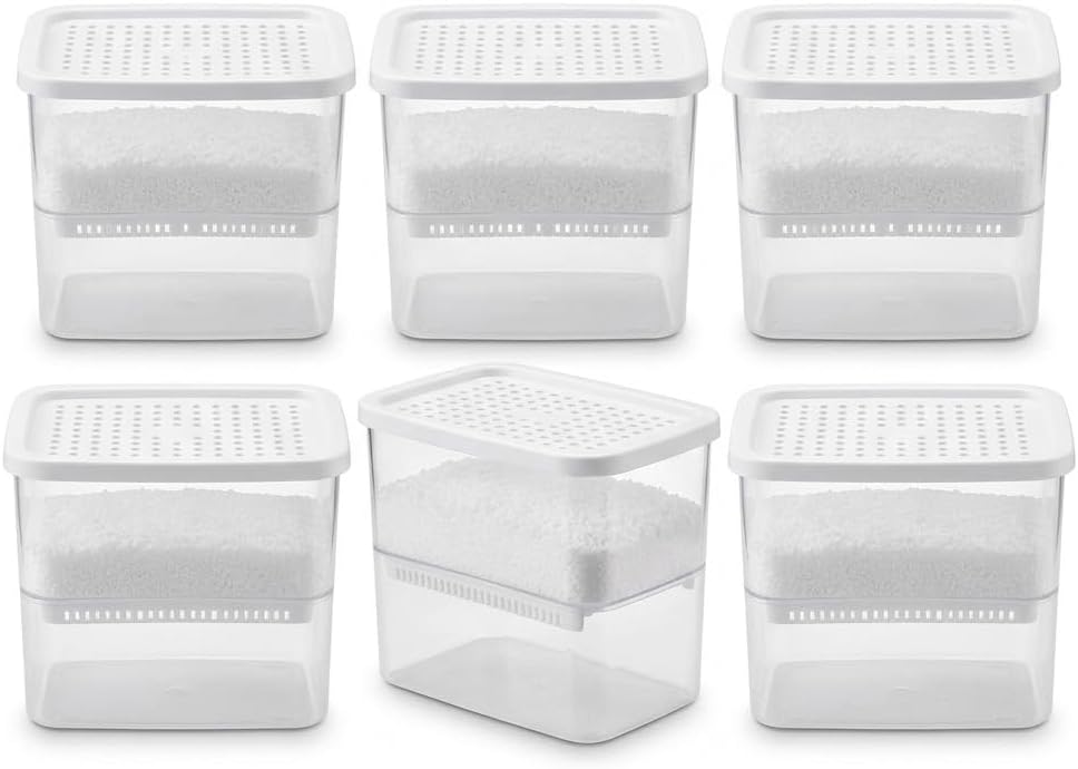 Set 6 Deumidificatori Assorbi Umidita 400 ml - Contro Condensa, Muffa e Odore di Chiuso - Per Armadi, Bagni, Cantine, Camper e Barche - Senza Corrente - Lemag srl