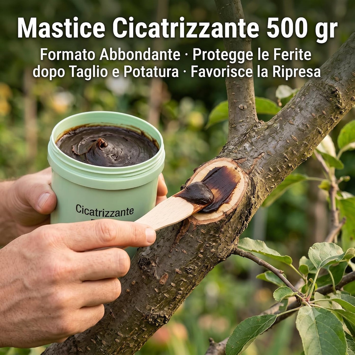 Kit Innesto Completo per Piante – Coltello da Innesto Lama Inox 17 cm con Mastice Cicatrizzante 500 gr Fascette per Legatura e Guanti – Set per Innesti Potature e Talee di Alberi da Frutto - Lemag srl