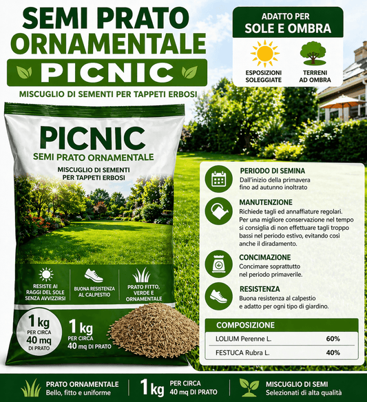Semi Prato Ornamentale Picnic 1 Kg per 40 mq Sole/Ombra Resistenti - Lemag srl